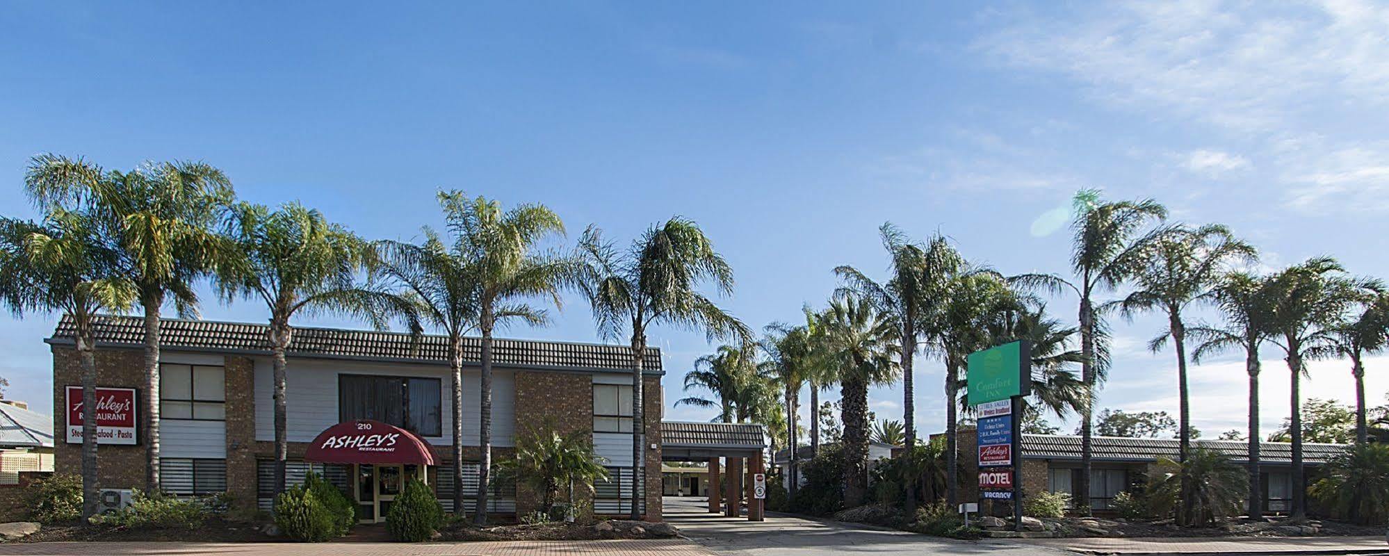 Citrus Valley Motel Renmark Exterior foto